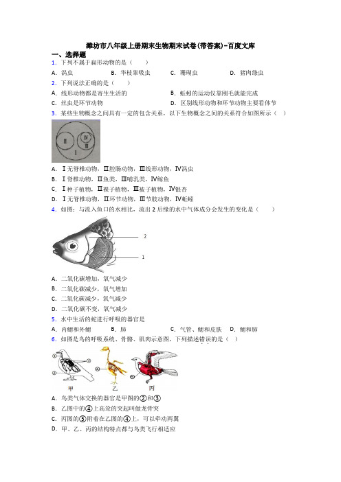 潍坊市八年级上册期末生物期末试卷(带答案)-百度文库