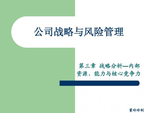 公司风险与战略管理最新讲义