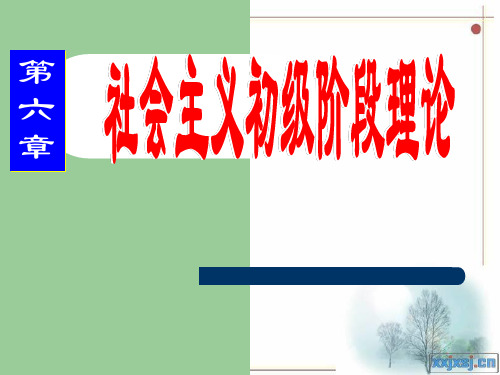 毛概第6章