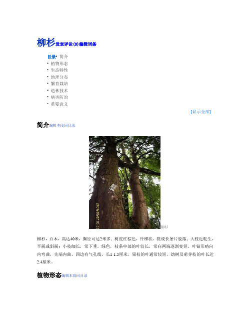 杉木、柳杉造林技术要点