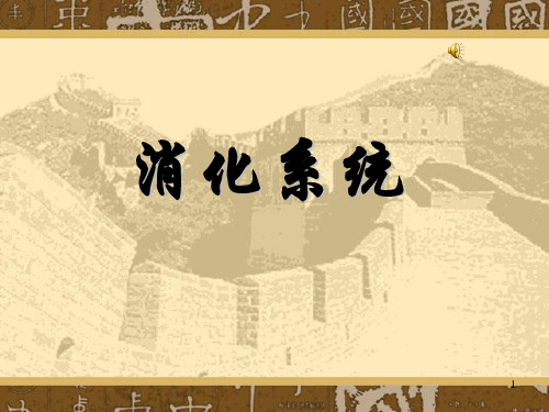 消化系统PPT课件