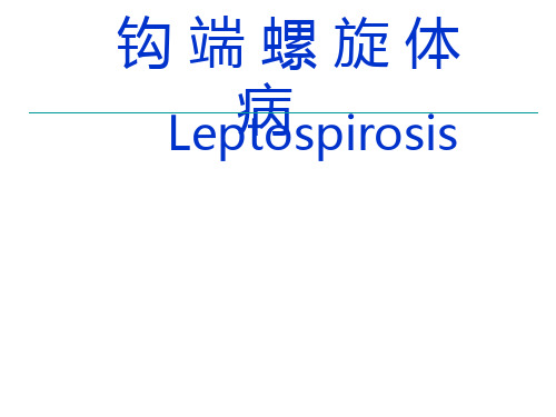 钩端螺旋体病