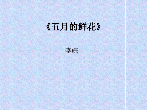 《五月的鲜花》.ppt