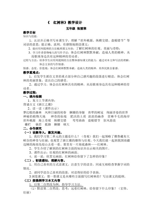 《红树林》教案