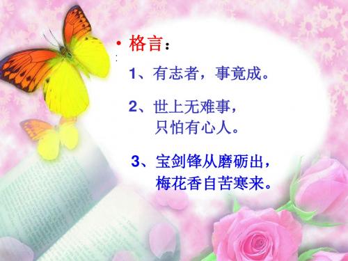上天的蚂蚁  ppt