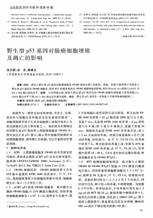 野生型p53基因对肠癌细胞增殖及凋亡的影响