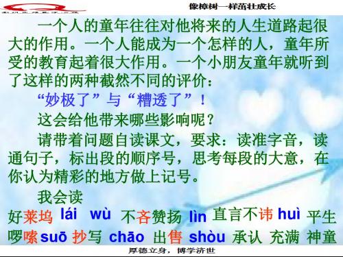 “妙极了”与“糟透了” PowerPoint 演示文稿