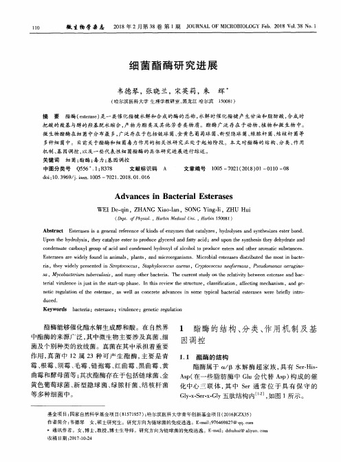 细菌酯酶研究进展