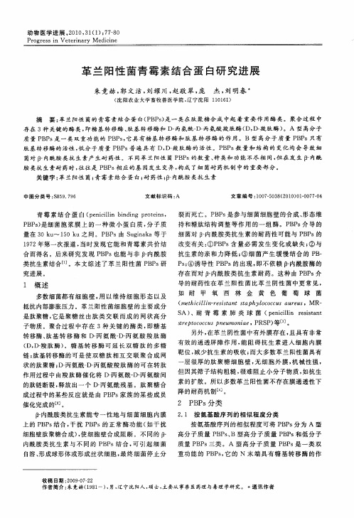 革兰阳性菌青霉素结合蛋白研究进展