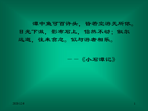 始得西山宴游记精品PPT教学课件