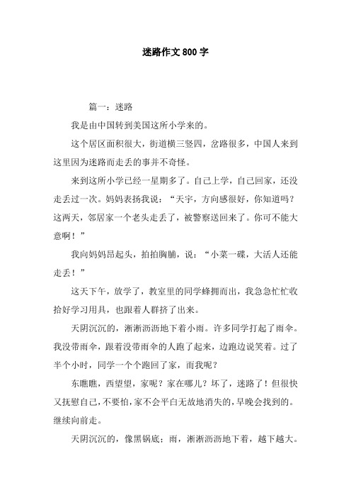 迷路作文800字