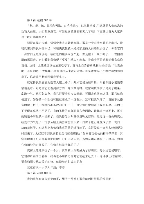精选赶鹅800字