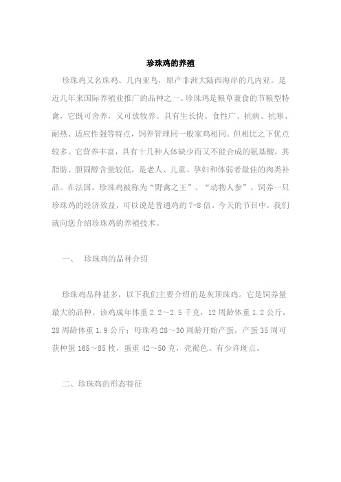 珍珠鸡的养殖