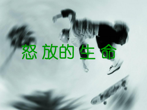 《怒放的生命》课件