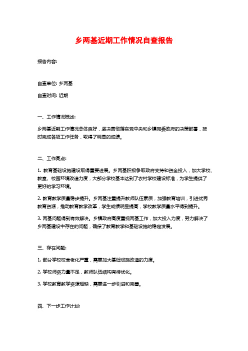 乡两基近期工作情况自查报告