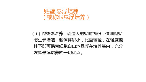 贴壁-悬浮培养