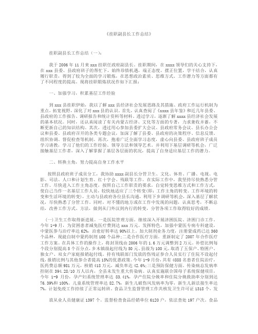 挂职副县长工作总结6篇
