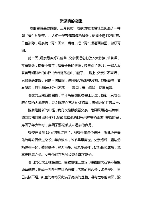 初三作文：那深情的凝望作文800字_3