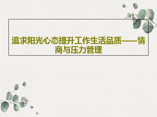 追求阳光心态提升工作生活品质——情商与压力管理共48页文档