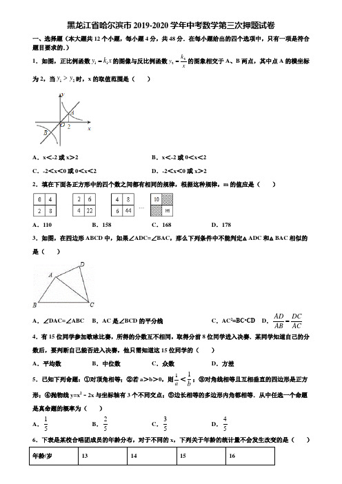 黑龙江省哈尔滨市2019-2020学年中考数学第三次押题试卷含解析