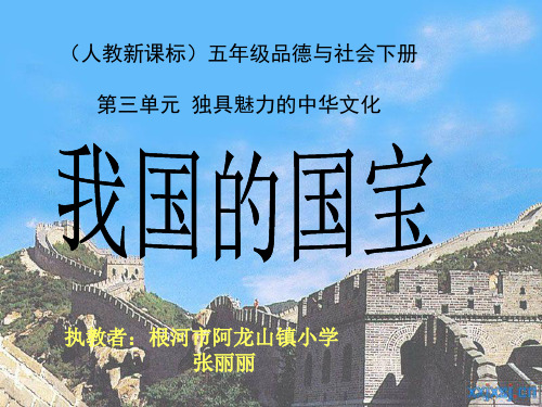 《我国的国宝》PPT课件