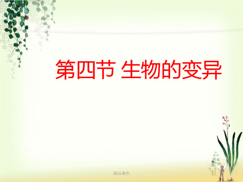 第四节_《生物的变异》ppt课件可修改.ppt