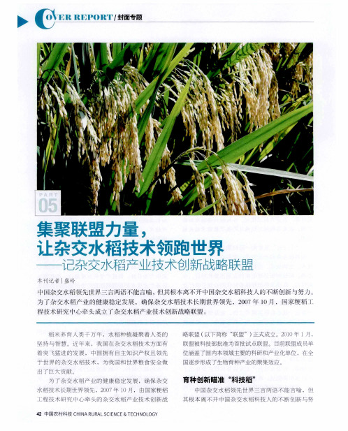集聚联盟力量,让杂交水稻技术领跑世界——记杂交水稻产业技术创新战略联盟