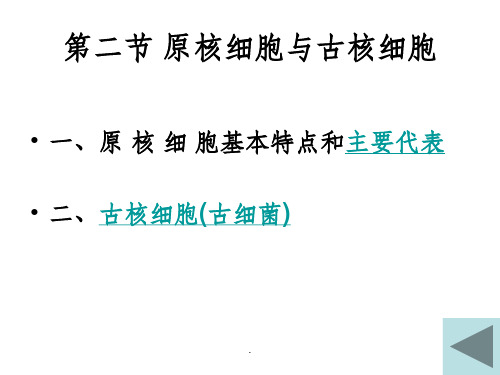 第二节 原核细胞与古核细胞