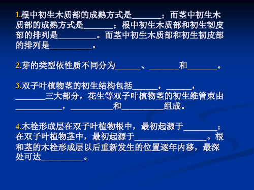 《植物学》课件 第5章 叶1