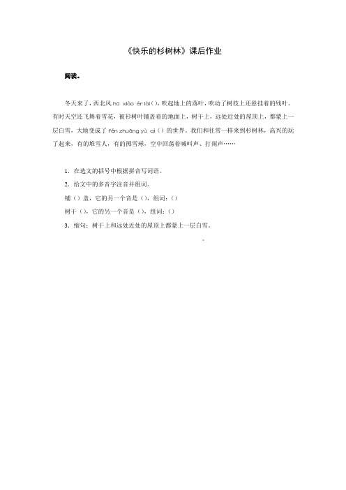 《快乐的杉树林》课后作业