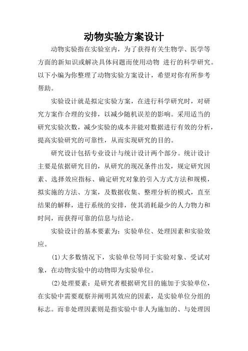 动物实验方案设计