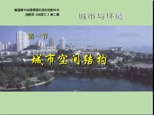 第一节 城市空间结构PPT课件