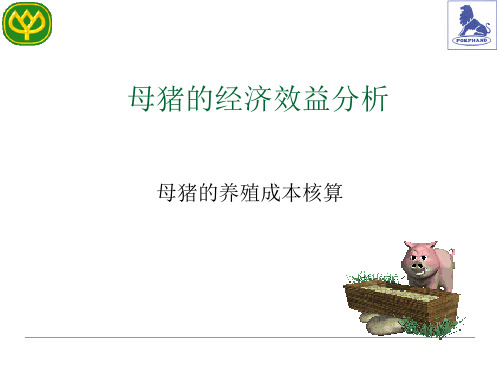 母猪的经济效益分析