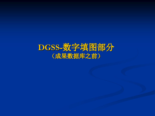 数字填图 DGSS 操作步骤