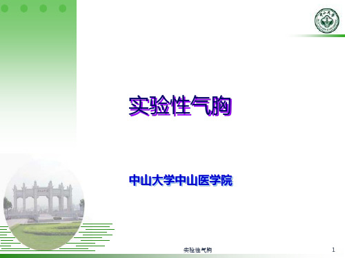 实验性气胸探索性试验PPT课件