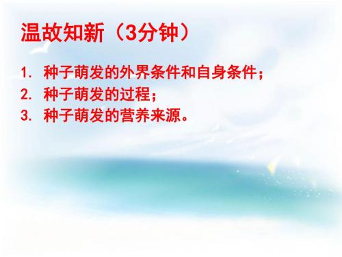 济南版生物八年级上册第四单元第一章第五节 根的结构与功能(共36张PPT)
