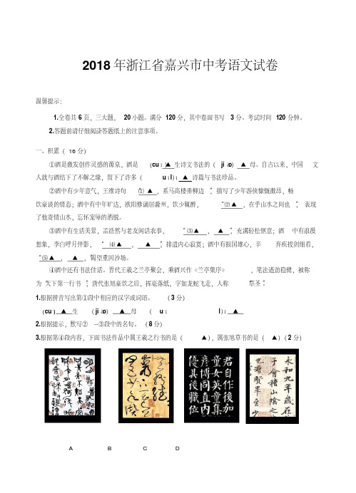 2018年浙江省嘉兴市中考语文试卷(含答案)(20200708162302)