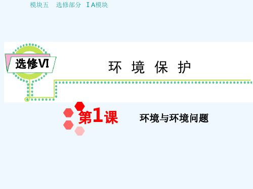 浙江省高中地理第一轮 学海导航总复习模块5 第1课 环境与环境问题课件 湘教版选修Ⅵ