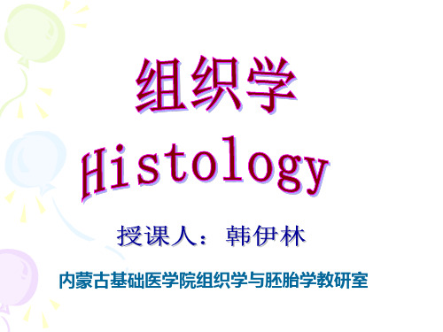 组织学 第1章 绪论