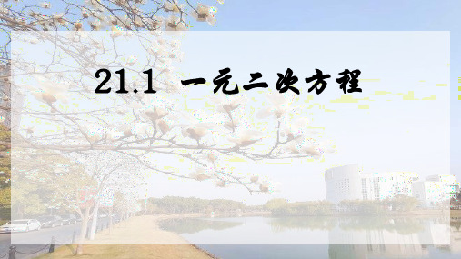 人教版数学九年级上册21.1 一元二次方程课件(共24张PPT)