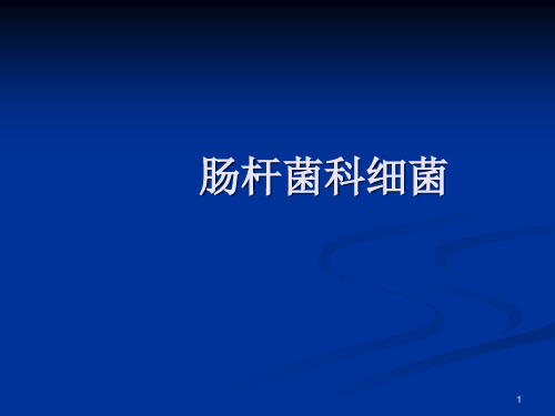 肠杆菌PPT参考课件