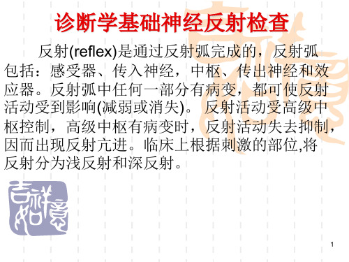 诊断学基础神经反射检查参考PPT