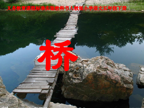 《桥》优秀课件