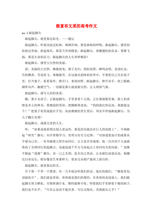极富有文采的高考作文