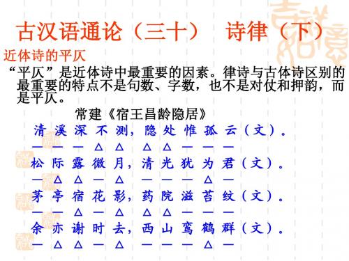 通论三十诗律