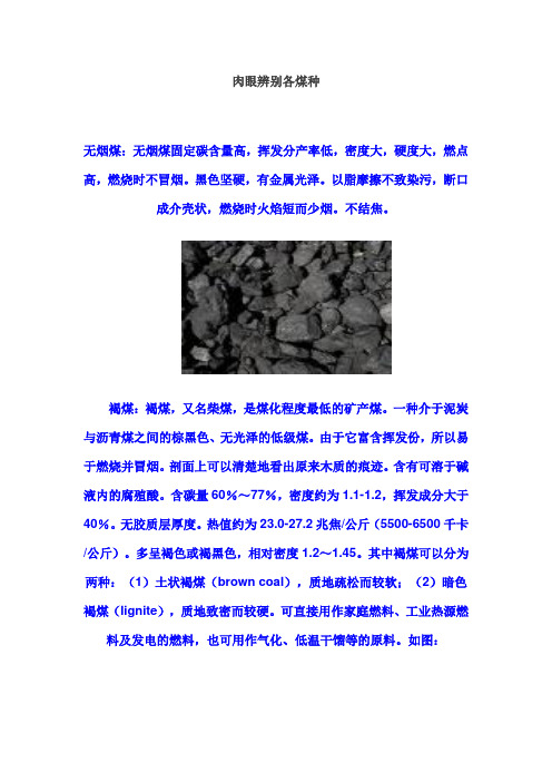 肉眼辨别各煤种