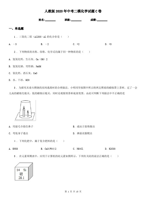 人教版2020年中考二模化学试题C卷