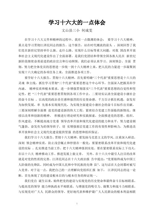 学习十六大的一点体会