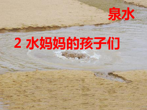 二年级上册语文课件-2水妈妈的孩子 ∣西师大版(2018) (共25张)
