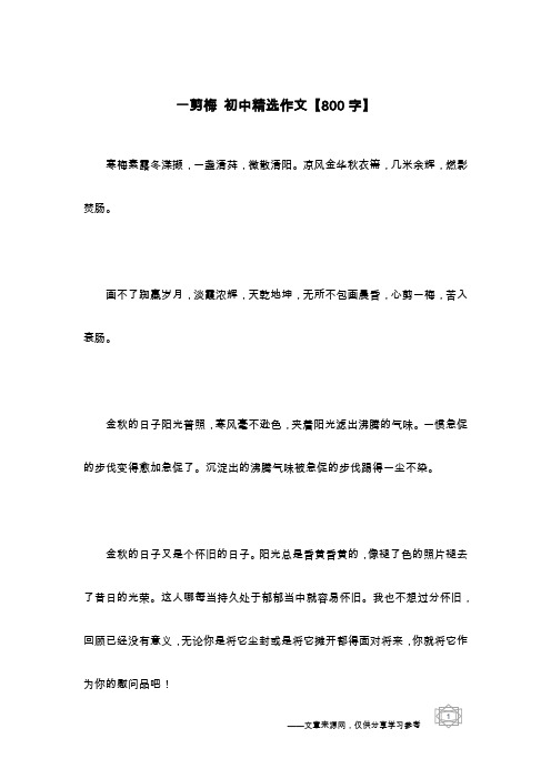 一剪梅 初中精选作文【800字】